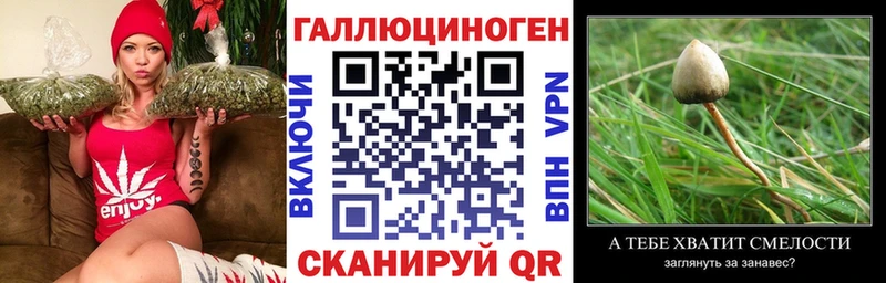 Галлюциногенные грибы Magic Shrooms  площадка клад  Надым 